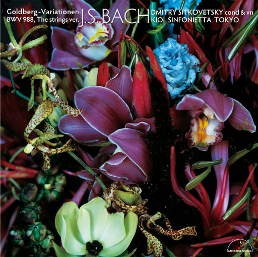 李惠利门把手启蒙网盘资源
